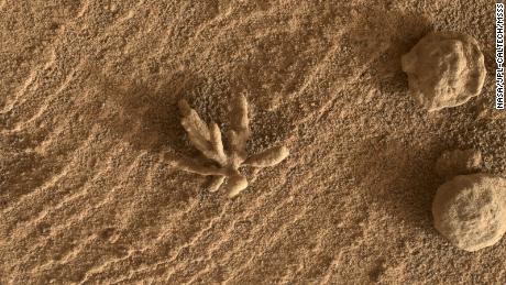 small & # 39;  flower & # 39;  A formation observed on Mars by the Curiosity rover