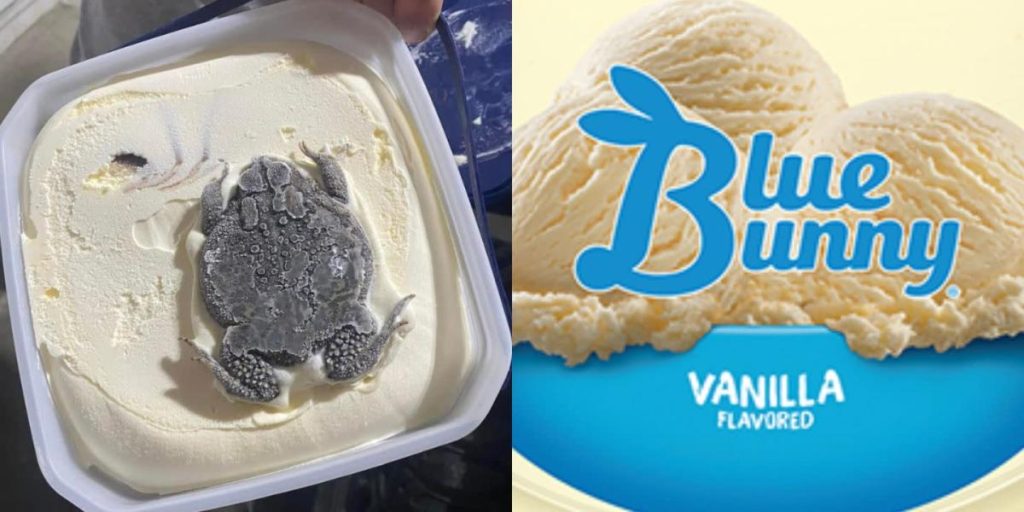 We can't see the frog in this blue rabbit ice cream