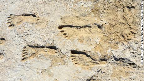 Fossilized footprints show that humans reached North America much earlier than initially thought