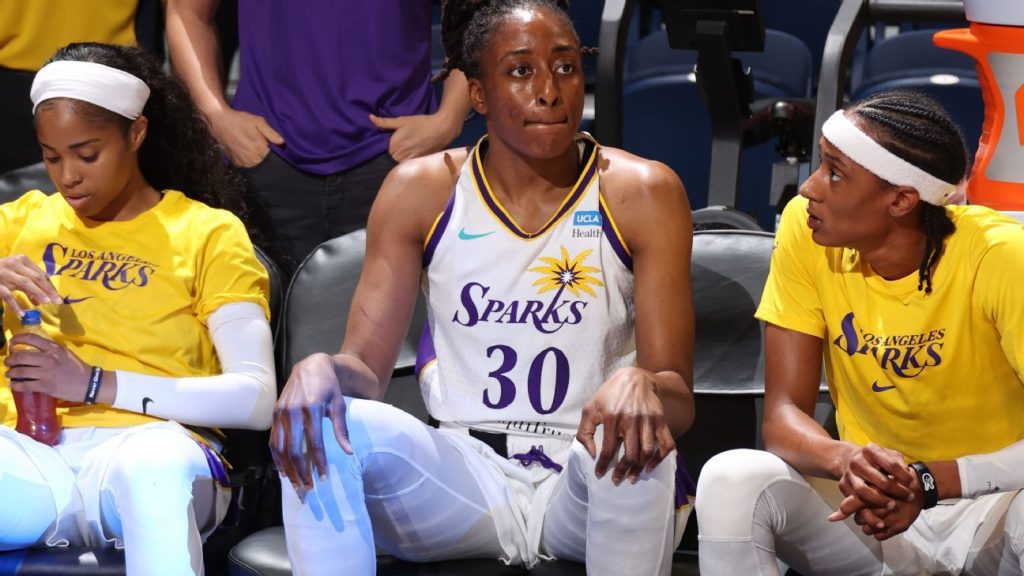Los Angeles Sparks Nika Ogomyek Addresses WNBA's 'Ongoing Travel Issues That Must Be Addressed'
