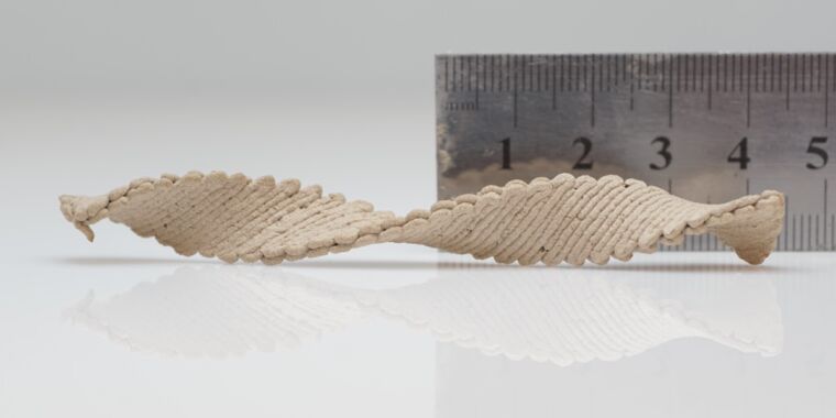 These 3D self-modulating wood shapes could be the future of woodworking