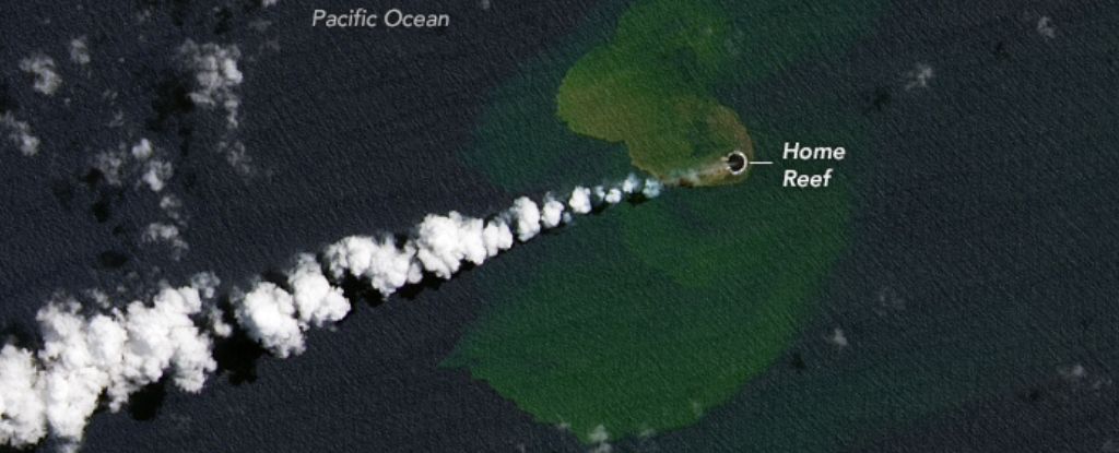 A new island has emerged in the Pacific Ocean after an underwater volcanic eruption: ScienceAlert