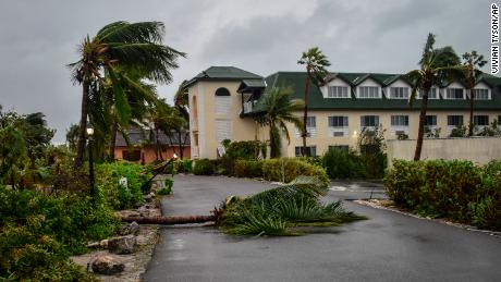 There is a fallen palm tree at the entrance to the Ports of Call Resort in Providenciales and the Turks and Caicos Islands. 
