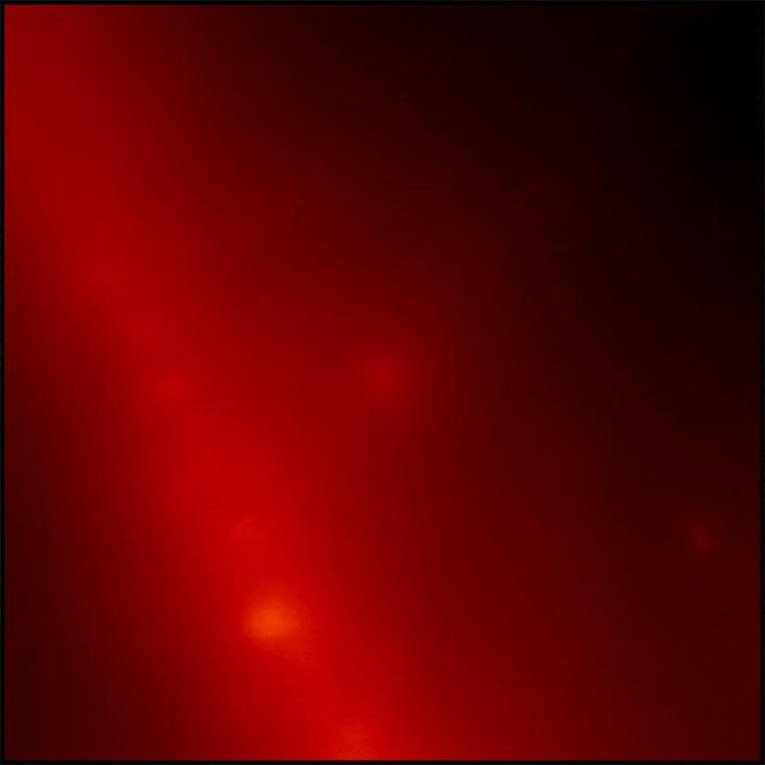 The gif shows a faint red dot in space that suddenly glows bright