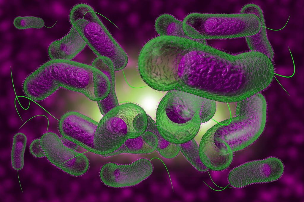 Cholera Bacteria Illustration