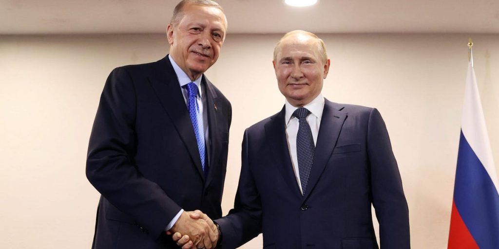 Erdogan says he will work with Putin to develop Turkey's gas hub