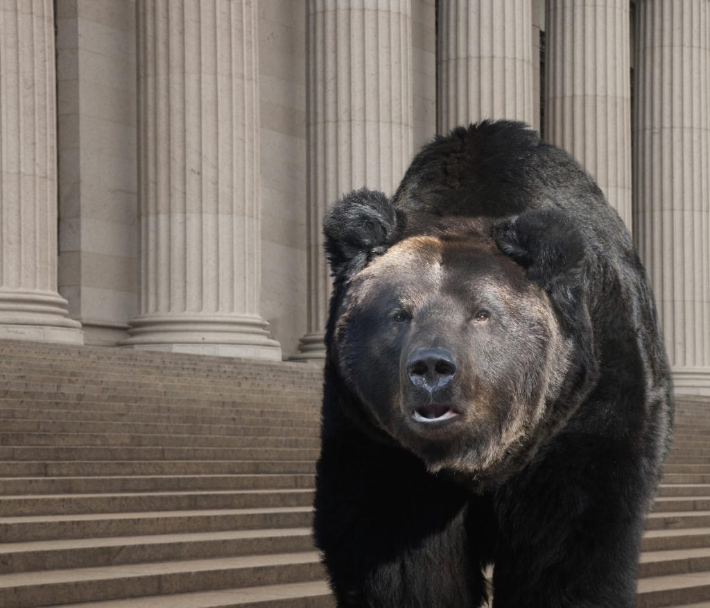 Why is this bear on Wall Street saying it's time to sell stocks again?